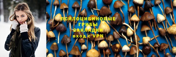 эйфоретик Сатка