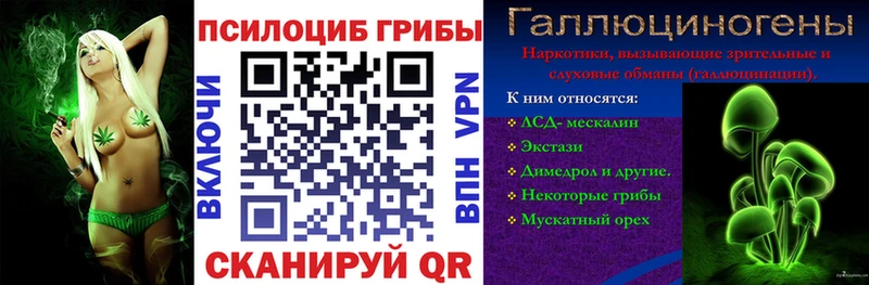 Псилоцибиновые грибы GOLDEN TEACHER  нарко площадка телеграм  Льгов 